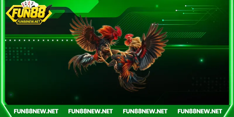 Hệ thống đặt cược thông minh và tiện lợi